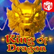 Biện pháp thu thập dữ liệu an toàn của 88day app