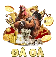 Chương trình VIP độc quyền 88day app